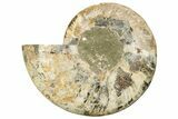 Cut & Polished, Agatized Ammonite Fossil (Half) - Madagascar #191589-1